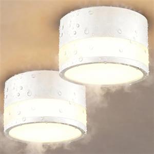 ZIZZLER 2 Faretti Led Bianchi da Soffitto, Impermeabile IP44, Faretto per Cucina Interni Corridoio, 12W 1100LM, Plafoniera Rotondi Soffitto Soggiorno, Luce Calda, Bathroom Spot Lights Ceiling, 10cm