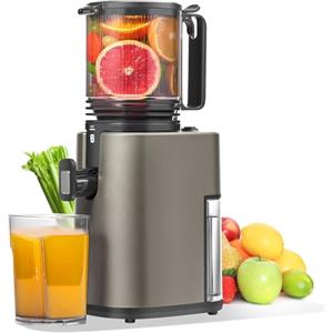 MAISON HUIS Estrattore Frutta e Verdura, Slow Juicer con 13,5cm Extra Grande Contenitore per Frutta e Verdura Intera, Facile da Pulire (Matt Grigio)