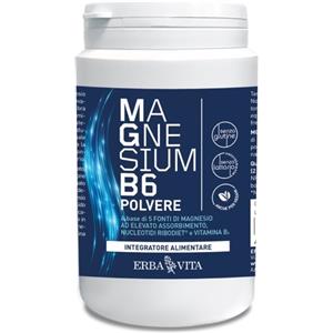 ERBA VITA GROUP SpA MAGNESIUM B6 POLV 200GR ERBA V