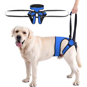 Dotoner Imbracatura per Cani, imbracatura cane zampe posteriori, Pettorina di Sollevamento per Taglie Piccola Media Grande, Assistenza alla Mobilità Anziani o Infortunati
