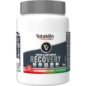 VITALDIN SPORT Protein & Carb Complex Recovery - Bevanda in Polvere per Recupero con Proteine Whey, Carboidrati, Elettroliti, BCAA, Glutammina, Vitamine - Energia e Recupero Muscolare; Anguria - 750 g