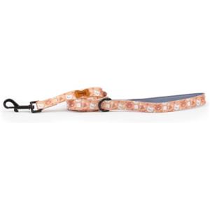 Preziosi Pet - Guinzaglio Per Cani Piccola Media Taglia e Cuccioli, Corda Da Passeggio In Nylon, Resistente, Lungo 125 Cm Alto 2 Cm.