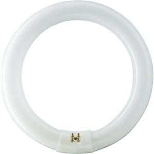 Philips Lampada Fluorescente 22 W G10q TL-E Bianco Neutro 840 - Diametro Tubo 29 mm