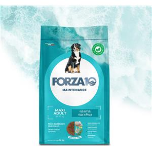 Forza 10 Maxi Adult Maintenance al Pesce - Alimento Secco Completo per Cani Adulti di Taglia Grande, 12kg