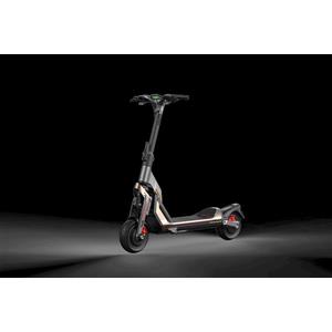 Segway - Monopattino Elettrico Gt2p-nero