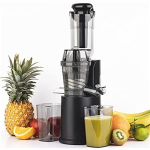 H.Koenig Estrattore di succo Verticale Compatto 0,8L GSX16 Acciaio Inox, Slow Juicer Vitamina+ Senza BPA, Ampio Beccuccio di Ingresso, Rotazione Lenta 60giri/min, Silenzioso, Sistema Inverso, 250W