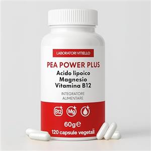 smartgoods Integratore PEA Power Plus, Acetil-l-carnitina, Acido Alfa Lipoico, Magnesio Bisglicinato, Vit B12, 120 Cps, Antinfiammatorio Naturale, Neuropatie, Formicolii, dolori Articolari, Nervo Sciatico