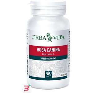 Erba Vita Rosa Canina - Integratore Alimentare 60 Capsule con Vitamina C per il Sistema Immunitario