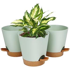 OFFCUP Vasi per Piante Autoirriganti, 3pcs Vasi da Fiori in Plastica, 20cm Vasi Decorativi Interno Moderni con Sottovasi per Casa e Ufficio, Vasi da Fiori per Piante, Erbe, Die Rose, Geraniums Verde