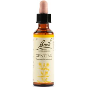 SCHWABE PHARMA ITALIA Schwabe Fiori Di Bach 12 Gentian Gocce 20ml