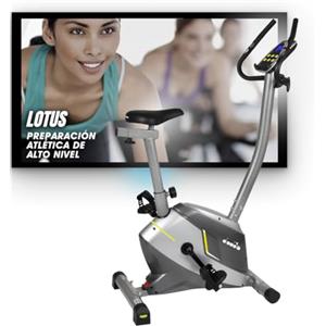 Diadora Fitness Lotus, Bike Elettromagnetica Unisex Adulto, Grigio Scuro, 100 x 49 136 cm