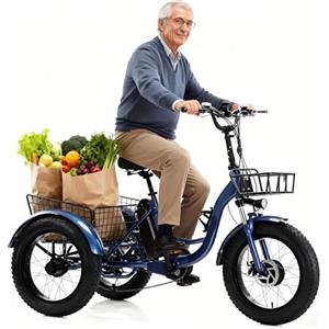 flatpincololee Triciclo Elettrico Adulti 20x4.0 Fat Tire - 500W Motore, Batteria Rimovibile 48V 13Ah, Sospensioni, Luce LED, Grande Cestino Posteriore, Ideale per Tutti i Terreni, 30-40 km Blue