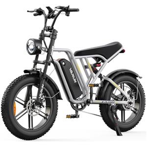 VARUN Bici Elettrica per Adulti, 20'' x 4.0 Fat Tire Bicicletta Elettrica Uomo, Batteria Rimovibile 48V 624Wh, Autonomia 100km, Display LCD Aggiornato, 7 Velocità MTB Elettrica, EBike per All-Terrain