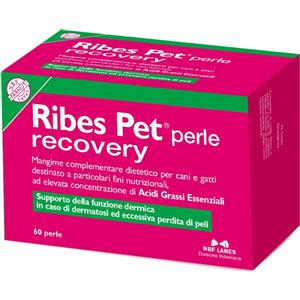 N.B.F. LANES Ribes Pet Recovery - Mangime Complementare per Cani e Gatti con Omega 3, Omega 6 e Vitamina E - 60 Perle