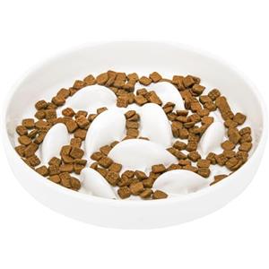 GUWINA Ciotola Anti Ingozzamento Gatto Ceramica per Gatti e Cani Piccoli, 16 cm Largo Ciotola Gatto Anti Ingozzamento Poco Profonda per Cibo Secco e Umido, Lavabile in Lavastoviglie (Bianco)