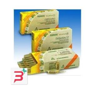 Specchiasol Fisiosol PL Ribes - Integratore in Fiale con Maggiorana e Oligoelementi