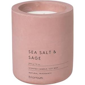 blomus -FRAGA - Candela profumata L in cera di soia, rosa Withered, profumo per ambienti di alta qualità, caratteristico effetto cemento, fragranza SEA SALT & SAGE, durata 55 ore (altezza x larghezza