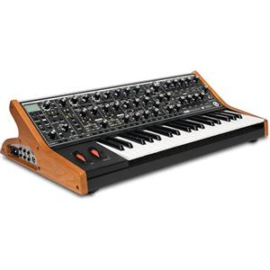 MOOG Subsequent 37 - Synth parafonico analogico, Tastiera MIDI con 37 tasti semipesati, amp per cuffie, 256 preset, schermo ed editor software