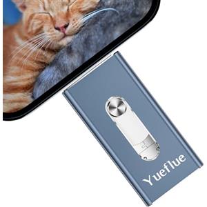 Yueflue Chiavetta USB 256 GB, Chiavetta per lPhone per Memorizzare più immagini e Video. Push-Pull Dual Interface con Adattatore di Tipo C Separato, Chiavetta USB 3 in 1 per i0S/Android/PC.