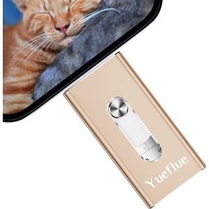Yueflue Chiavetta USB 128 GB, 3 in 1 Chiavetta USB per lphone Memoria Esterna per Memorizzare più Foto e Video. Chiavette per lphone di Memoria per i0S/OTG Android/PC, Non è Necessario Scaricare APP.