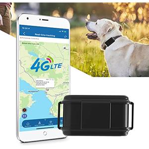 TKMARS 4G Collare GPS per Cani da Caccia,Supporta Chiamata Bidirezionale, Allarme Acustico e Visivo, Monitoraggio del Movimento GPS Animali Senza Abbonamento TK919Pro 4G