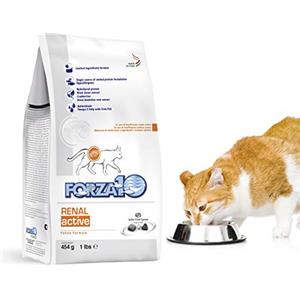 Forza 10 Renal Active 454g - Cibo Secco per Gatti per la Salute dei Reni e del Cuore