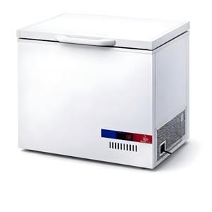 Gasfrit Cassapanca Congelatore Professionale Basso Rumore - Libera installazione - Classe Energetica B - 150-450 Litri - Uso alberghiero e Commercio