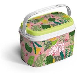 LI.GI. FRIGO PASSIVO PORTATILE PLASTICA ANTIGRAFFIO 6 LITRI BEACH ITALIANO BORSA TERMICA BAULETTO ITALIA