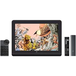 XP-Pen Artist Pro 16 (2a generazione) - Display da Disegno con Stilo X3 Pro e Telecomando Wireless