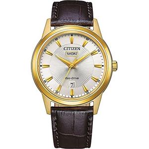 Citizen Watch AW0102-13A
