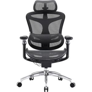 SIHOO Doro C300 Pro Sedia da ufficio ergonomica con braccioli 6D ultra morbidi, supporto lordosi dinamico e regolazione della profondità della seduta per la casa ufficio (nero)