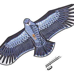 THE TWIDDLERS Kit Aquilone Aquila Grande con Filo e Coda, 185x82 cm