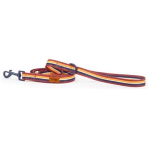 Preziosi Pet - Guinzaglio Per Cani Piccola Media Taglia e Cuccioli, Corda Da Passeggio In Nylon, Resistente, Lungo 125 Cm Alto 2 Cm.
