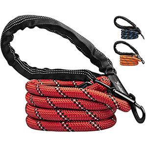 Candure Guinzaglio per Cani, Elastico Nylon Riflettente Resistente Guinzaglio Cane con Morbida Imbottita Impugnatura, 5ft Guinzaglio Addestramento per Cani Taglia Grande,Media e Piccola (Rosso)