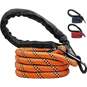 Candure Guinzaglio per Cani, Elastico Nylon Riflettente Resistente Guinzaglio Cane con Morbida Imbottita Impugnatura, 5ft Guinzaglio Addestramento per Cani Taglia Grande,Media e Piccola (Arancia)