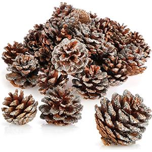 COM-FOUR® 30x Pigne con glitter color argento - pigne come decorazione natalizia - decorazione coni con glitter - decorazione natalizia da cospargere (30 pezzi - color argento)