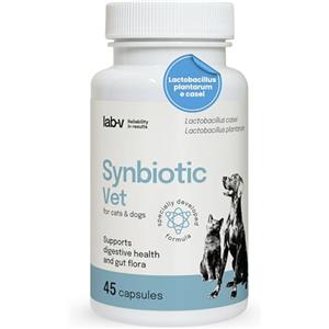 Lab-V Synbiotic Vet Probiotici per Cani e Gatti 45 Capsule Probiotico Digestivo per Cani e Gatti con Prebiotici Integratori Cane e Gatto Fermenti Lattici Intestino Salute