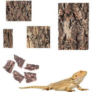 Qurxuanwe 9Pcs Corteccia di Sughero per Rettili, Piastra Sfondo Sughero Terrario Naturale, Decorazione Parete Posteriore Serbatoio, Accessori Tappetino Rettile per Tartaruga, Lucertola, Geco, Barbuto,Camaleonte