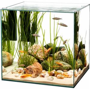 AquariumLine Cube - Acquario Cubico in Vetro Float per Acqua Dolce - Varie Misure 20-30 - 40 - Design Minimal Vasca Senza Cornici per Nano Acquari, Piante,Caridine e Aquascaping (25x25x30H)