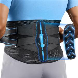 AGPTEK Fascia Lombare Supporto Schiena con Sostegno Bionico, Fascia per Schiena Traspirante in Tessuto a Rete, Sollievo dal Dolore, Stecche Multiple, Regolabile per Uomo e Donna, L