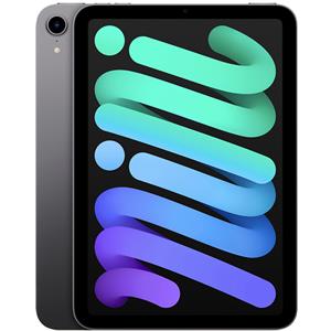 Apple iPad Mini 8.3 pollici (2021) 6a Generazione, Grigio Siderale - 256GB - Wi-Fi - Eccellente