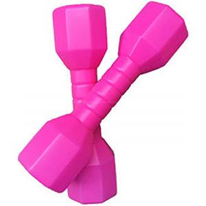 Kisbeibi Set di 2 manubri per bambini, attrezzatura per il fitness, ideale come regalo per bambini, pesi per mani, pilates, esercizi in casa, palestra, fitness, manubri per allenamento di forza (rosa)
