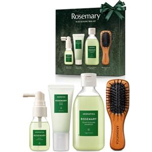 AROMATICA Kit di Prova per la Detersione del Cuoio Capelluto alla Rosmarino - Set Regalo - [Mini Spazzola in Legno / Shampoo 100ml / Potenziatore Radici 30ml / Scrub per il Cuoio Capelluto 30ml]