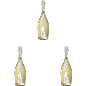 Bottega Il Vino dei Poeti Ancestral Spumante Bottega - 750ml (Confezione da 3)