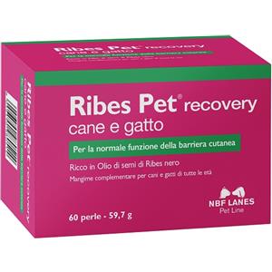 N.B.F. LANES Ribes Pet Recovery - Mangime Complementare per Cani e Gatti con Omega 3, Omega 6 e Vitamina E - 60 Perle