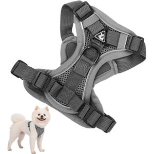 HoaaiGo Pettorina per Cani Taglia Piccola Media Grande, Traspirante Imbracatura Cane Anti Tiro con 1,5 m Guinzaglio, Gilet Riflettente Animali Domestici, Pettorina per Gatto Cuccioli Regolabile per Corsa (XL)