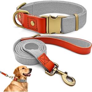 Qianruida Collare e Guinzaglio Cane in Nylon, Set di Addestramento, Regolabile, Resistente, Antifuga, Collari per Cani di Media e Grande Taglia, Grigio Argentato, XL