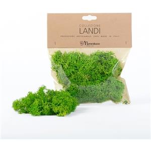 Moranduzzo - Busta Lichene Verde Naturale 50g - Artigianato Made in Italy - Accessori e Materiali per Realizzare un Presepe Tradizionale Fai da Te