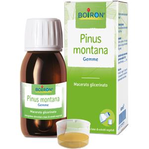 BOIRON Srl PINUS MONTANA MG 60ML INT BO