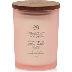 Chesapeake Bay Candle Chesapeake Bay candela profumata | Candela media Tumbler Stillness + Purity per aromaterapia | Durata: fino a 57 ore | Collezione Mind & Body
